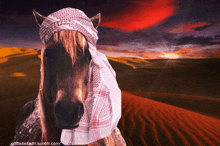 a horse wearing a head scarf in the desert with a sunset in the background