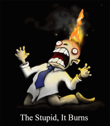 The Stupid It Burns GIF - The Stupid It Burns Head On Fire GIFs
