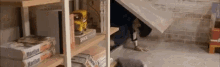 a person is standing under a staircase in a room with a bookshelf .