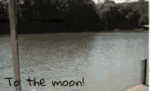 Qtum Qtum Moon GIF - Qtum Qtum Moon GIFs