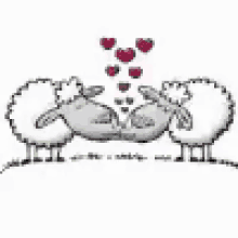 Sheep Kissing GIF - Sheep Kissing Love GIFs