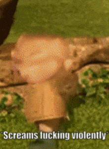 a person is screaming while standing next to a tree .