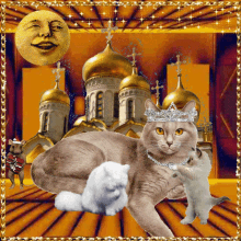 Macskák Cat GIF - Macskák Cat Crown GIFs
