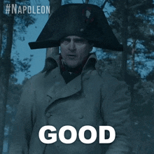 Good Napoleon Bonaparte GIF - Good Napoleon Bonaparte Joaquin Phoenix GIFs