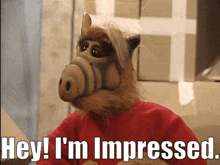 Alf Impressed GIF - Alf Impressed Hey Im Impressed GIFs