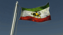 a flag that has a lion on it