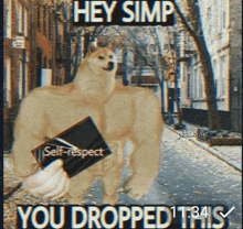 a meme of a dog with muscles holding a wallet and saying hey simp you dropped this .