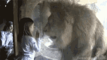 Lion Window GIF - Lion Window Child GIFs