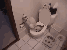 Cat Using Toilet & Toilet Paper GIF - Cats Pets Tricks GIFs