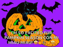 Happy Halloween Cat GIF - Happy Halloween Cat Pumpkin GIFs