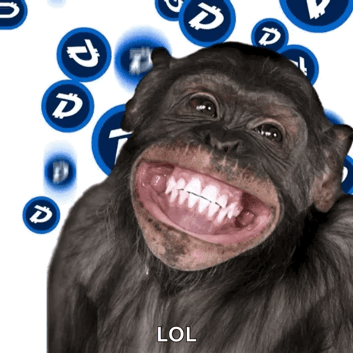 long monkey face meme｜TikTok Search