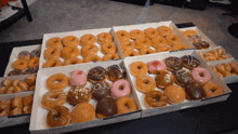 Krispy Kreme Doughnuts GIF
