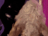 a close up of a woman 's hair with a black background