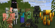 a group of minecraft characters are standing in a field with the words happy birthday levi written above them .