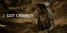 Crabs GIF - Crabs GIFs