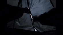 a bear is standing outside of a tent and looking at the camera ..