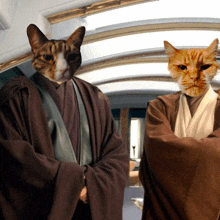 two cats wearing robes with their faces on them are standing next to each other