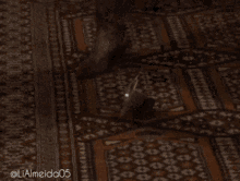 a woman is dancing in a living room with the hashtag lialmeida05 on the bottom