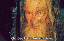 Go Back Shadow GIF - Go Back Shadow Gandalf GIFs