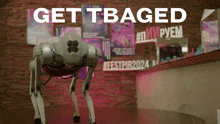 a robot is standing in front of a wall that says get tbagged