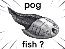 Pog Poggers GIF - Pog Poggers Fish GIFs