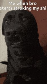a picture of a black dog with the caption " me when bro starts stroking my shi "