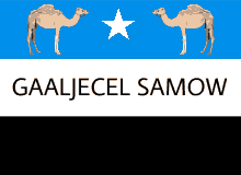 Somalia Farmaajo GIF - Somalia Farmaajo Tribe GIFs