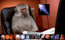 a monkey sits in a chair in front of a computer monitor