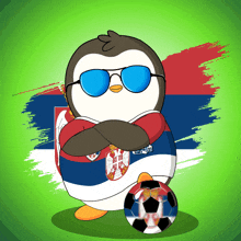 Serbia Soccer GIF