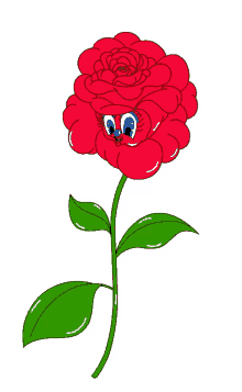 friederikehantel rose flower happy thankyou