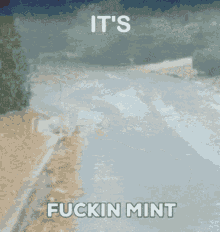 Mint Fuckin Mint GIF - Mint Fuckin Mint Fucking Mint GIFs