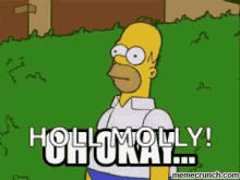 Oh Okay Simpsons GIF - Oh Okay Simpsons Homer GIFs