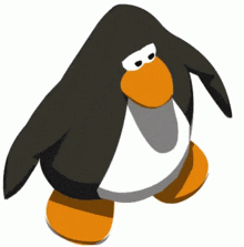 a black and white penguin with an orange beak and legs