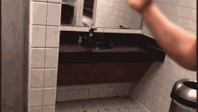 a bathroom with a sink and a mirror and a trash can