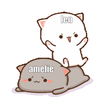 Cute Cat Couple GIFs | Tenor