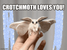Crotchmoth Doof GIF - Crotchmoth Doof Lee Chaos GIFs