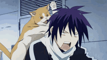 cat attack anime mad slap