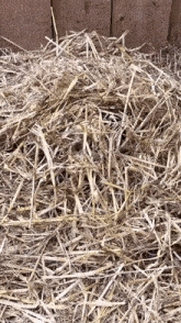 a pile of hay is sitting on top of a wooden fence .