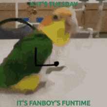 Tuesday Parrot GIF - Tuesday Parrot GIFs