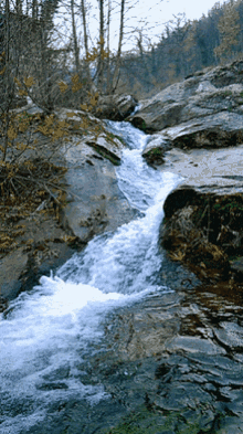 Waterfalls Nature GIF - Waterfalls Nature Stream GIFs