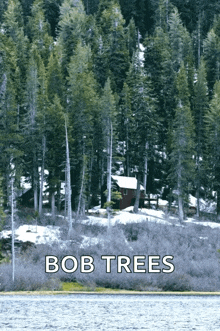 a bob trees poster shows a cabin in the woods near a lake