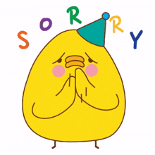 apologize apologies