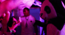 Party GIF - Hipster Panda Party GIFs