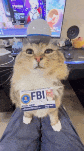 a cat is wearing a fbi badge and sitting on a person 's lap