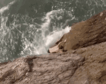 Fall Splash GIF - Fall Splash Wave GIFs