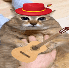 a cat wearing a hat and holding a guitar
