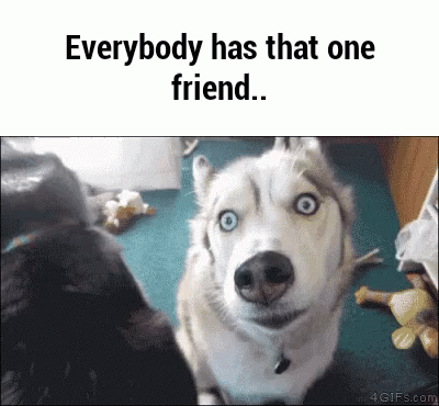 Gone To The Snow Dogs Friends GIF - Gone To The Snow Dogs Friends Friends  Forever - Discover & Share GIFs