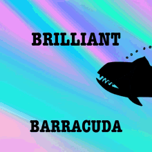 brilliant barracuda veefriends huh what lost