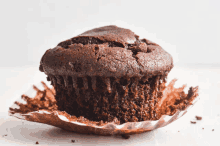 Muffin GIF - Muffin GIFs