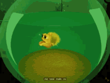Fish Dont Pee On The Floor GIF